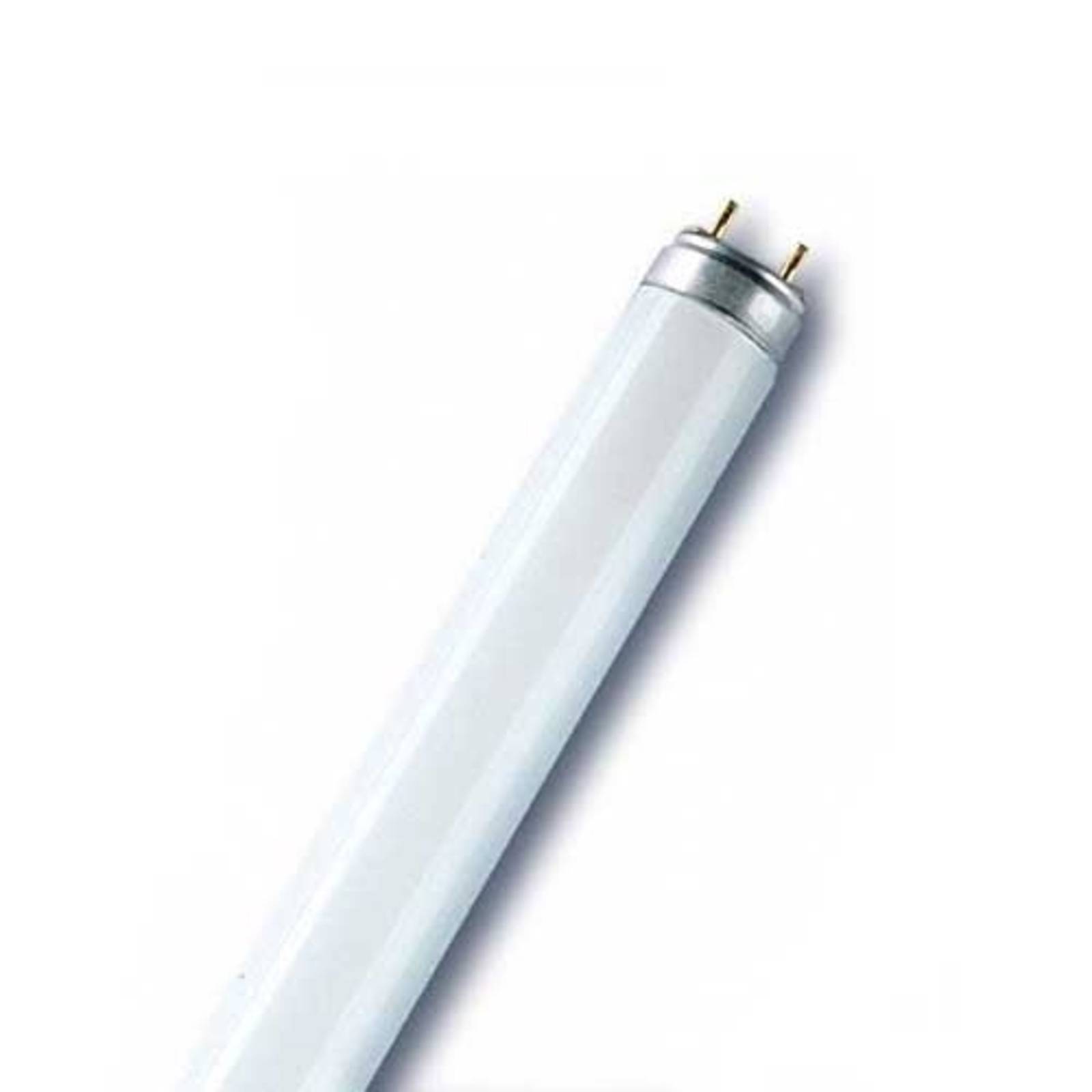 OSRAM G13 Tube fluorescent T8 Fluora de 30W pour plantes