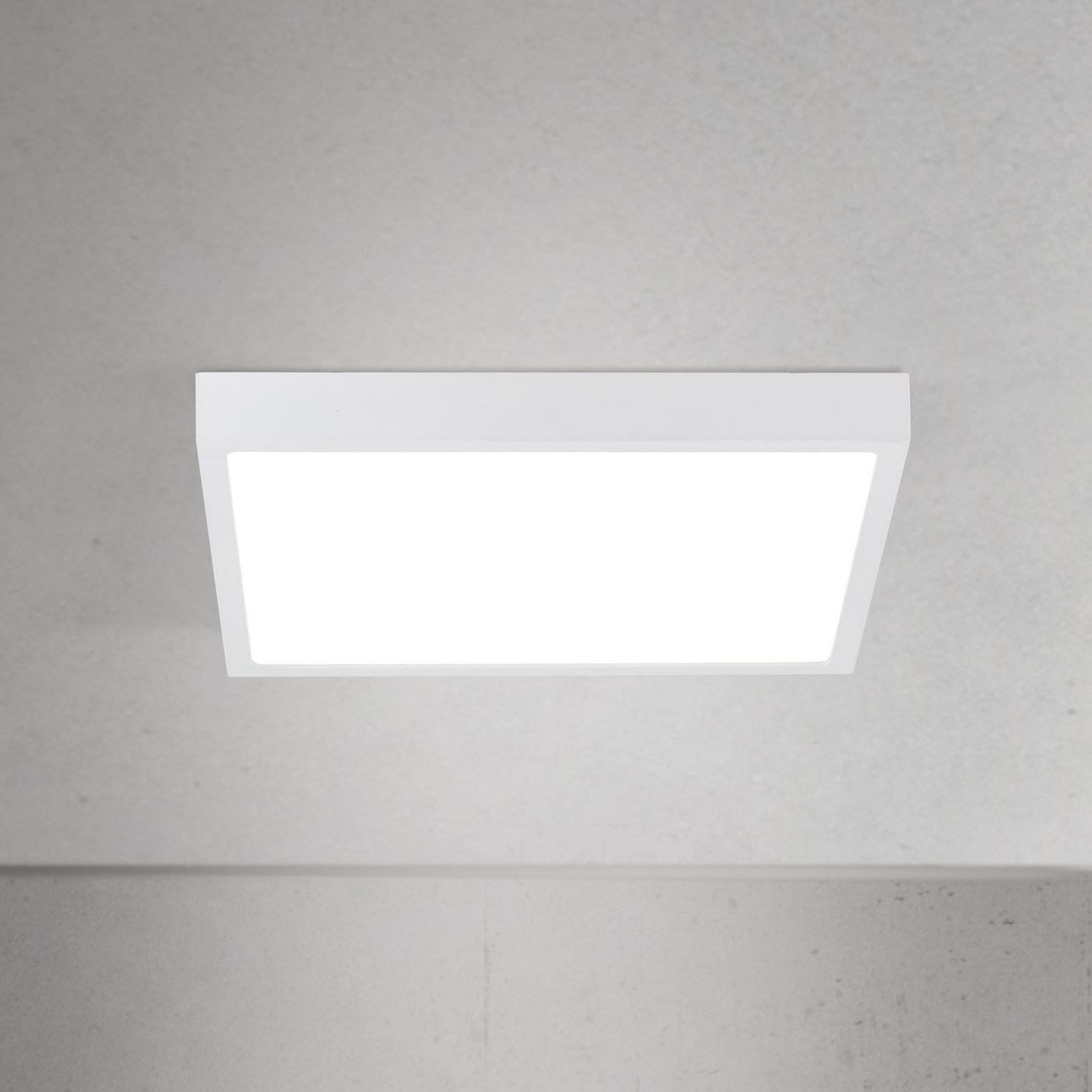 LED ceiling lamp Disc, white, length 24 cm, CCT, metal