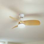 Lindby Ventilateur de plafond LED Enon, blanc/couleur bois, DC, silencieux