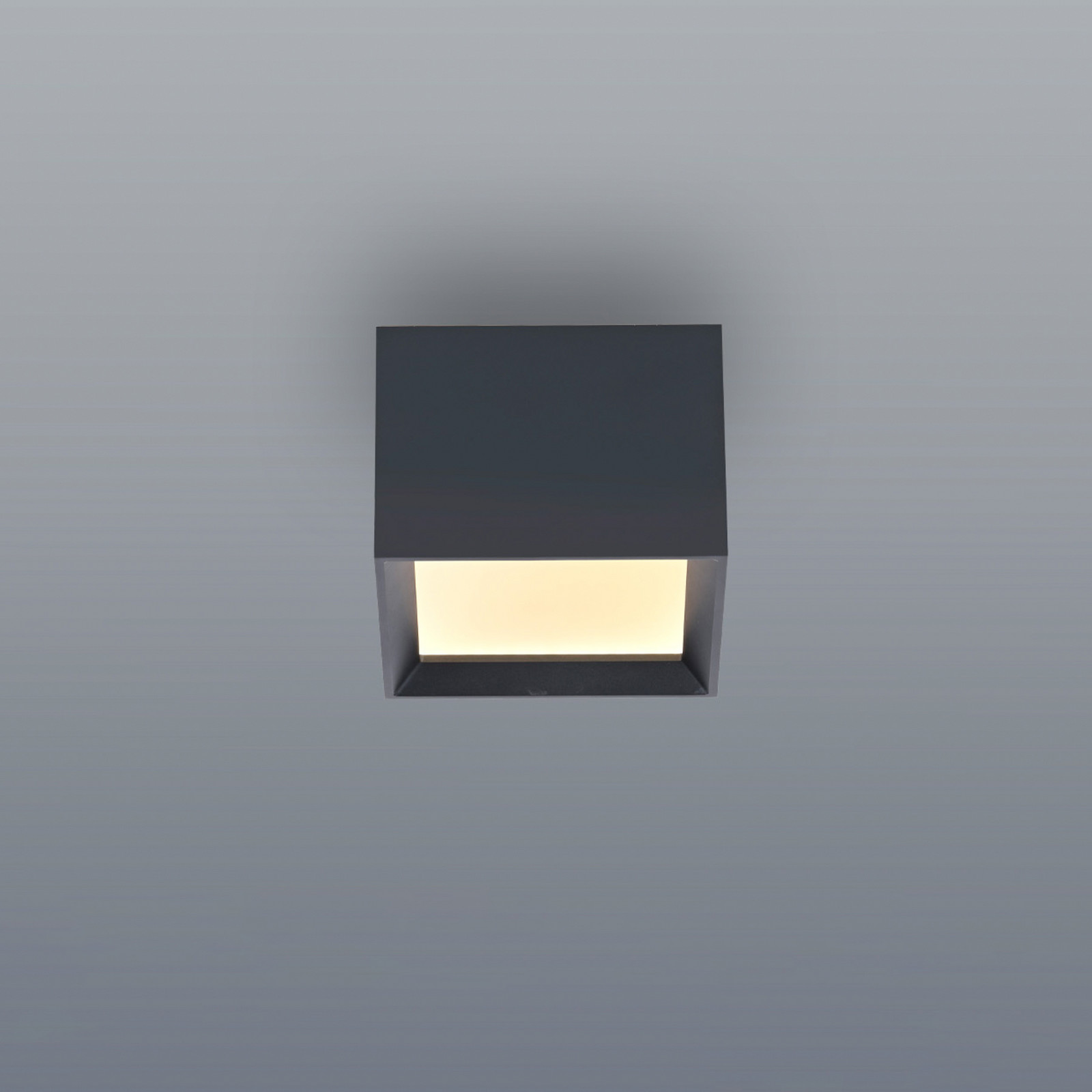 Plafonieră LED PURE Manhatten gri mistic 1 bec CCT - Hol - Modern - Aluminiu