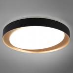 Zeta LED-loftlampe, tunable white, sort/guld