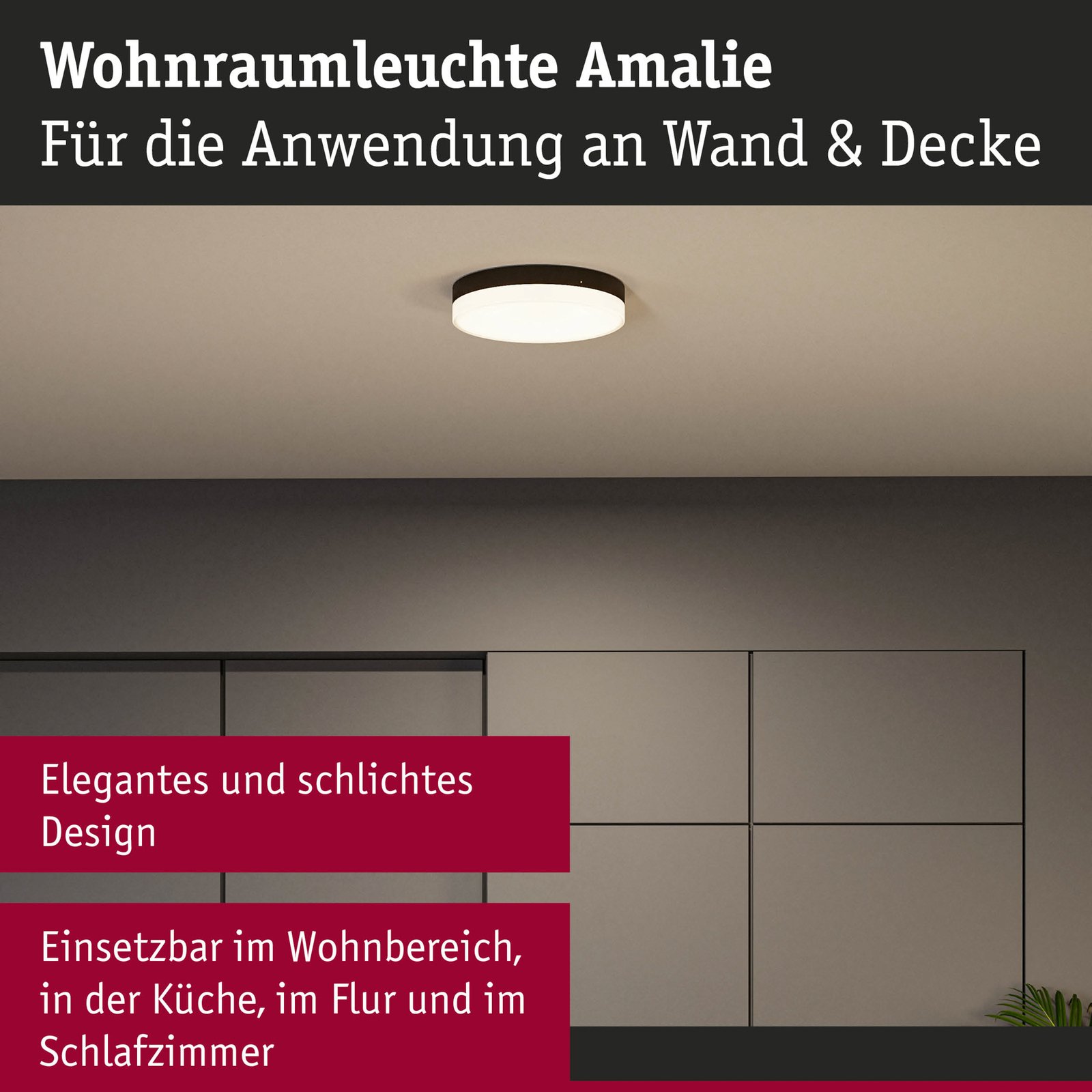 Amalie LED Plafonnier 3-step Dim. Matt Noir - Paulmann