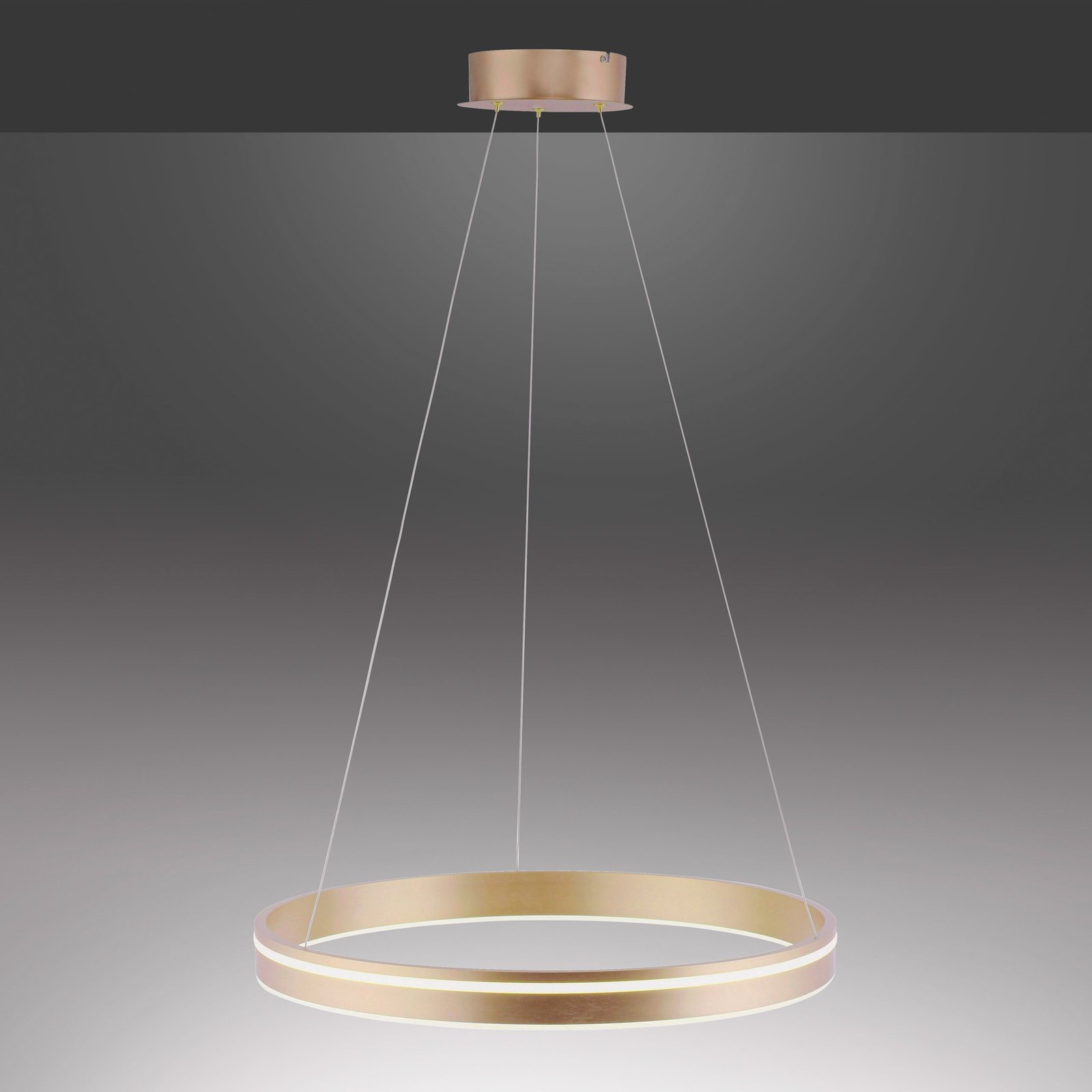 Paul Neuhaus Q-VITO lampa wisząca LED, 1 pierścień