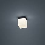 Helestra Keto LED ceiling light, cube, black