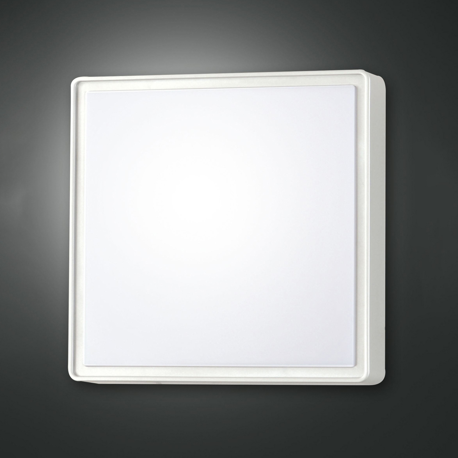 Aplique de pared Oban, 30 cm x 30 cm, sensor, 2 x E27, blanco, IP65