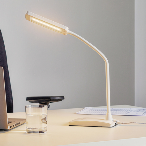 LED-Tischleuchte MAULpearly, CCT dimmbar weiß