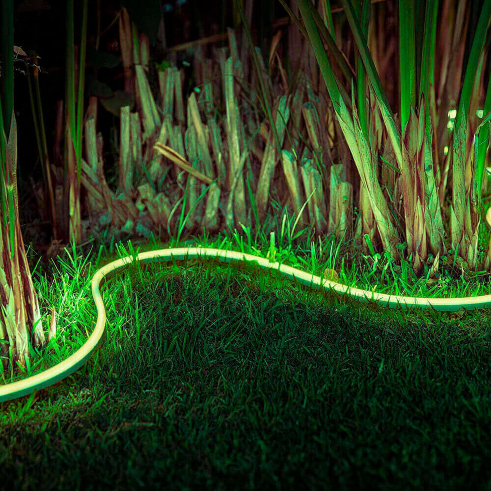 Hue Outdoor Lightstrip 2m White/Color Amb. - Philips Hue