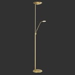 Cobra LED uplighter with brass reading lamp