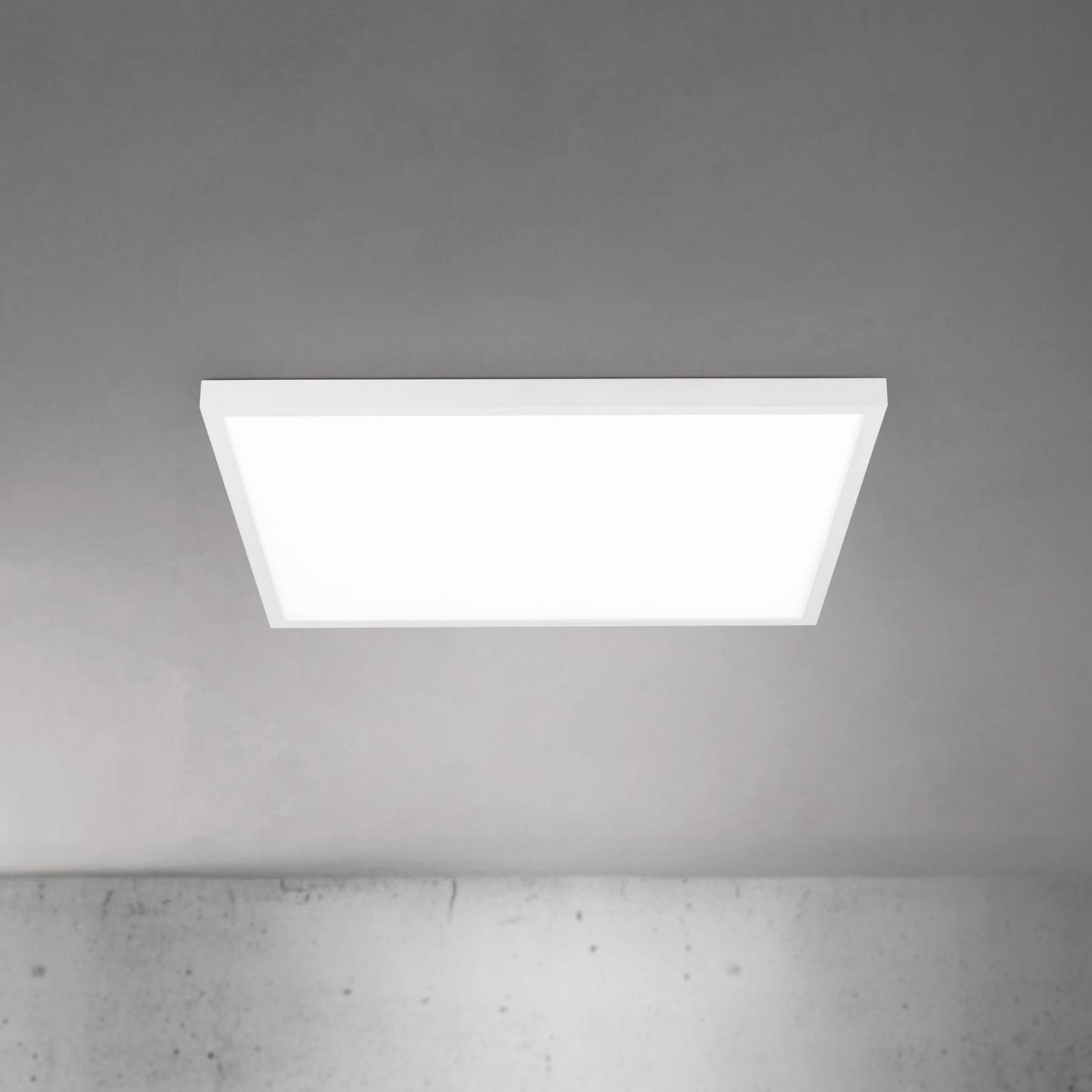 ORION Plafonieră LED pentru tavan Disc albă lungime 60 cm CCT metal - Camera de zi / sufragerie - Modern - Aluminiu