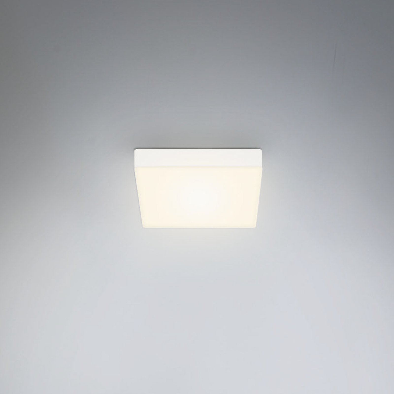 Plafón LED Flame, 15,7 x 15,7 cm, blanco