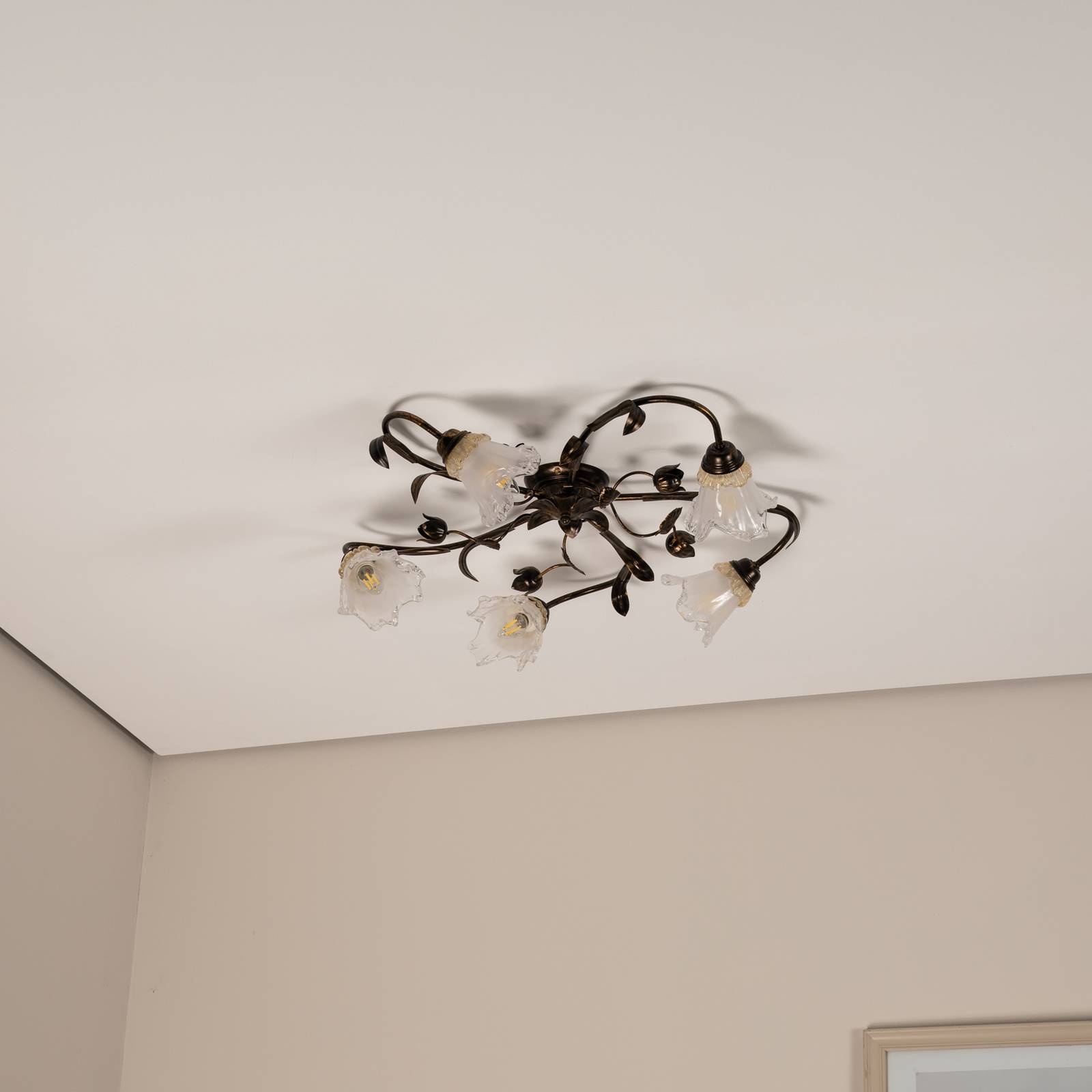 Lampa sufitowa Arianna, kolor brązowy, 5-punktowa, żelazo, szkło