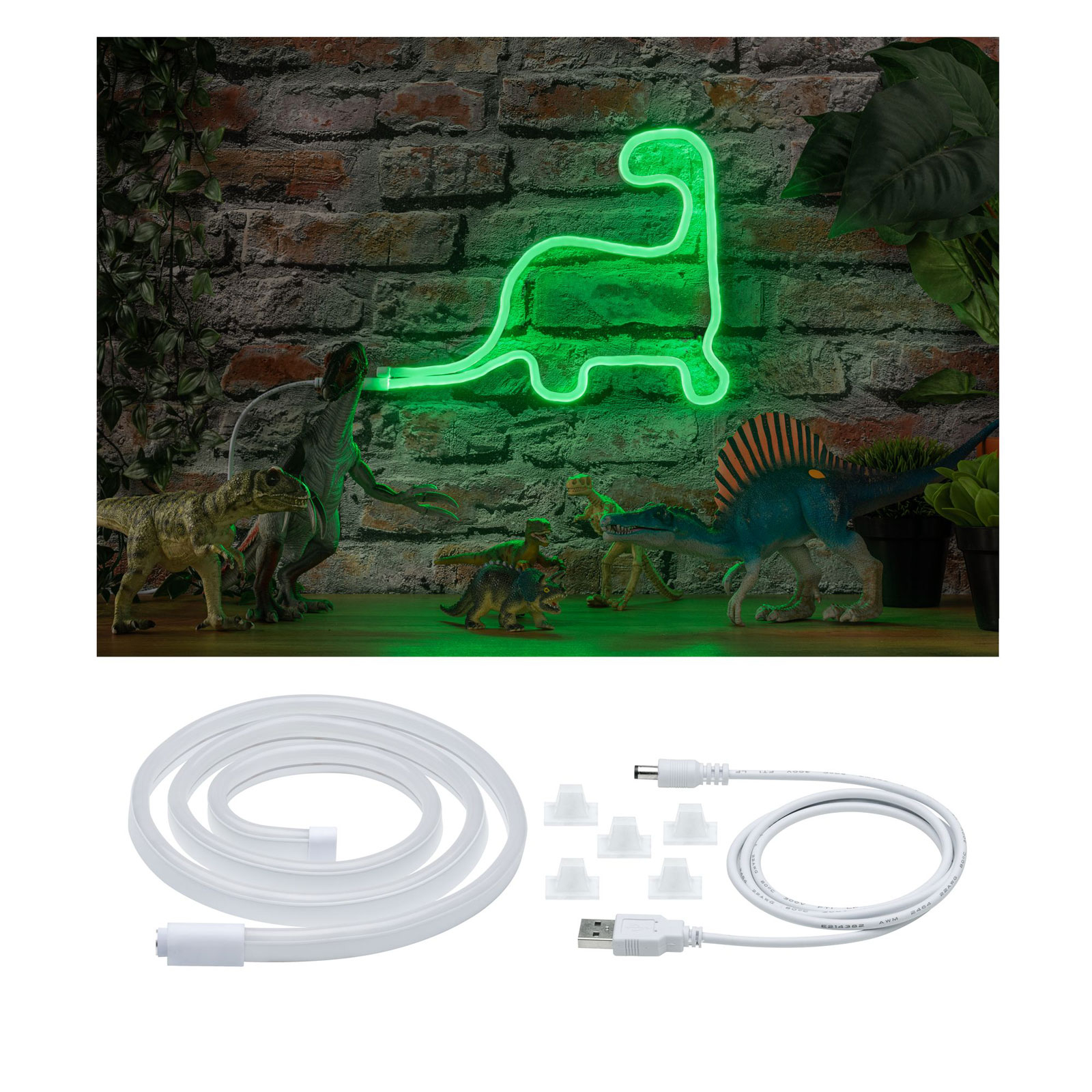 Paulmann ruban LED Neon Colorflex USB 1 m vert
