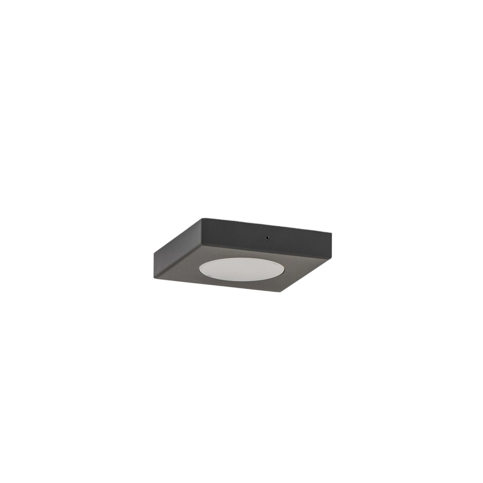 Plafondlamp Hero, 12 x 12 cm, zwart, metaal, GX53
