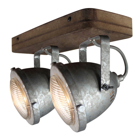 Deckenleuchte Woody, galvanisiert, 2-flammig