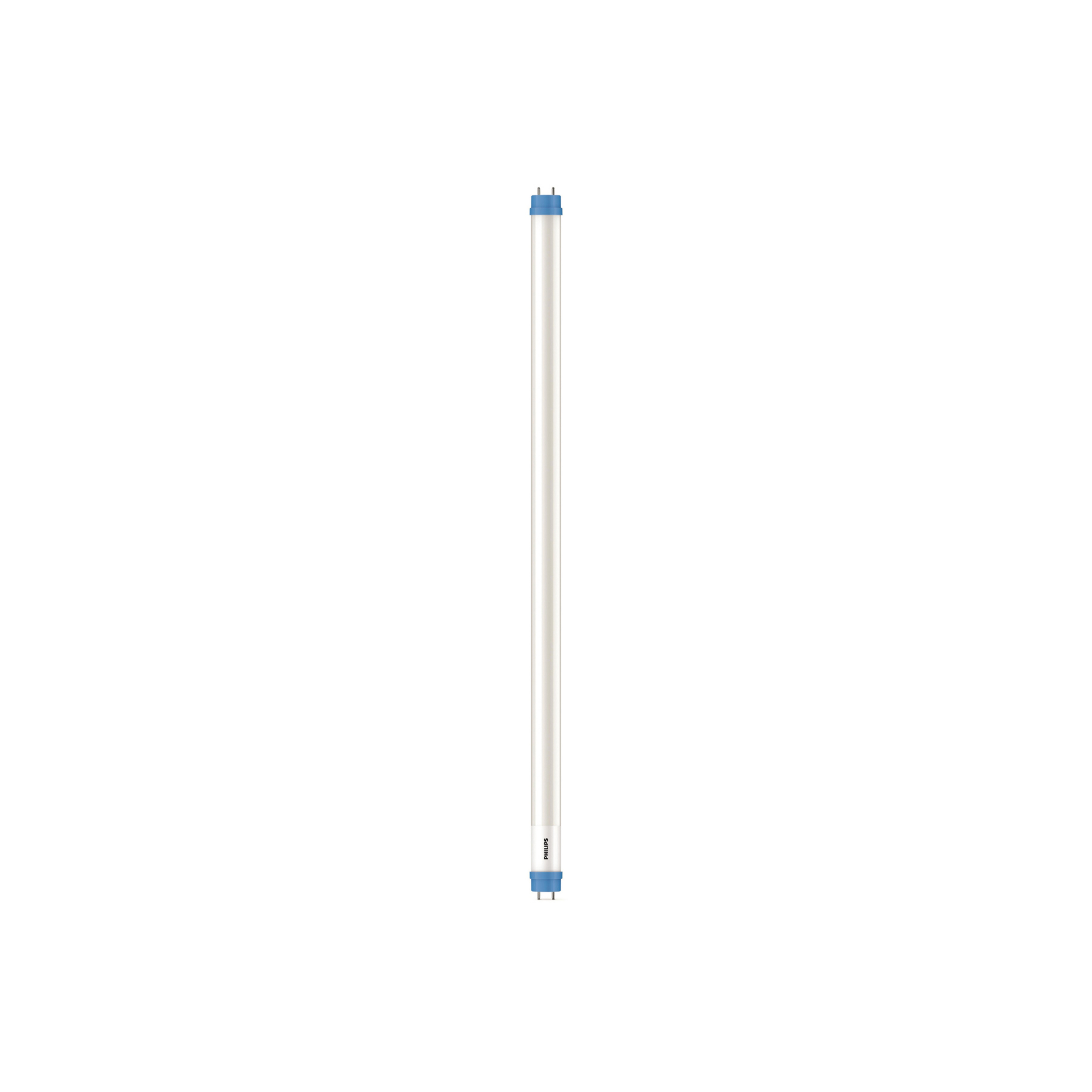 Philips G13 T8 Lampadina tubolare LED 8W 60,3cm 6.500K