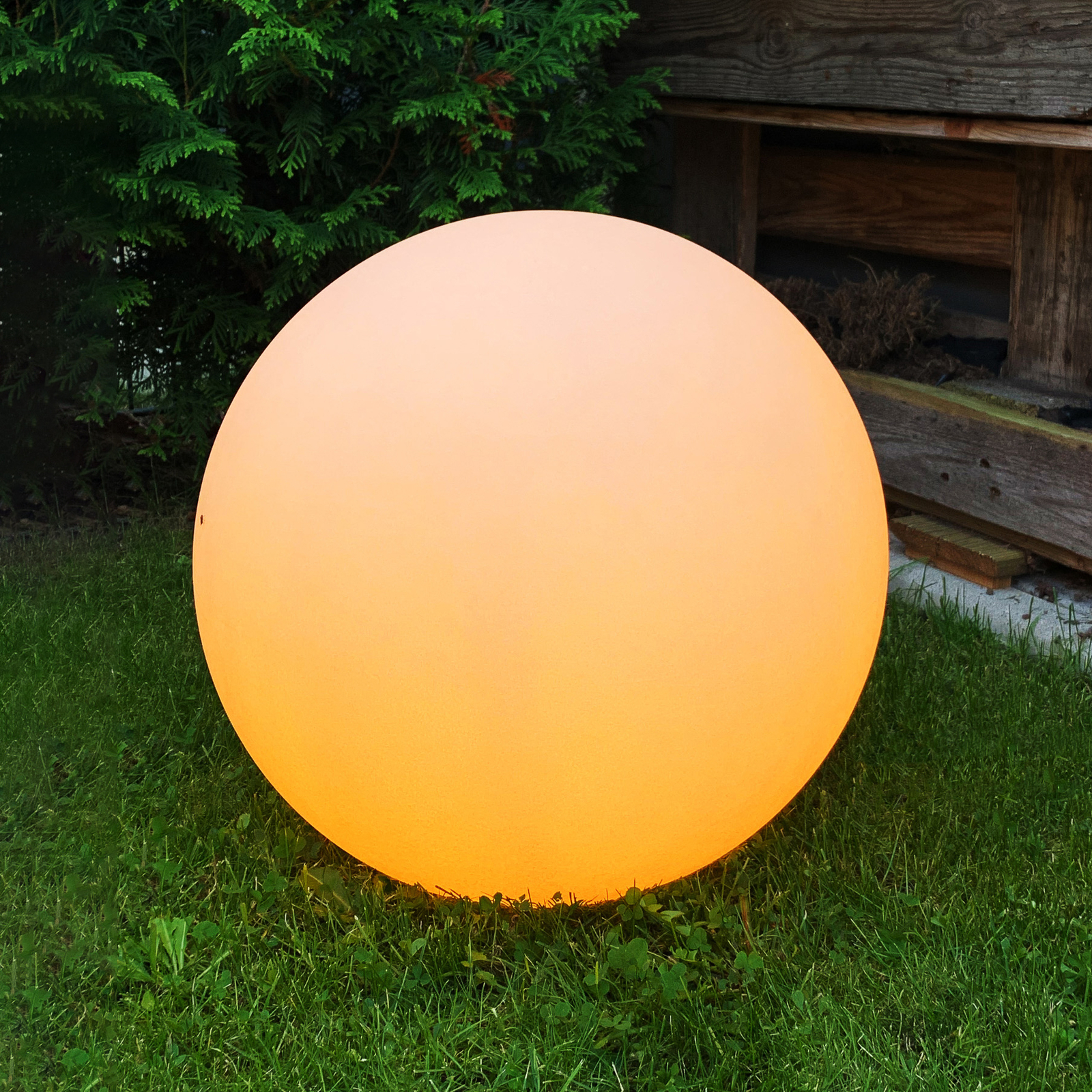 Müller Licht tint Calluna sfera LED sabbia, 40 cm