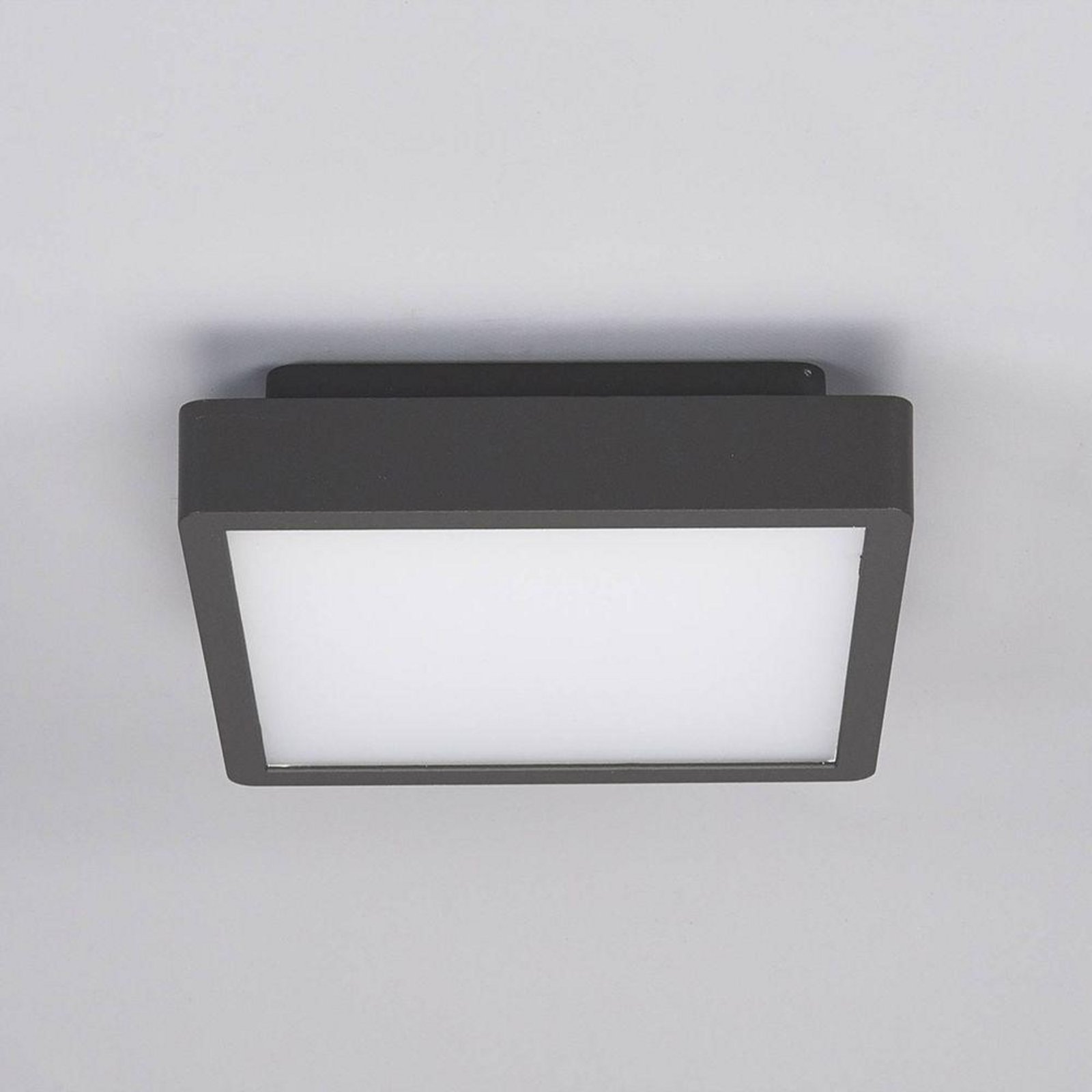 Talea LED Plafonieră de Exterior Graphite - Lucande