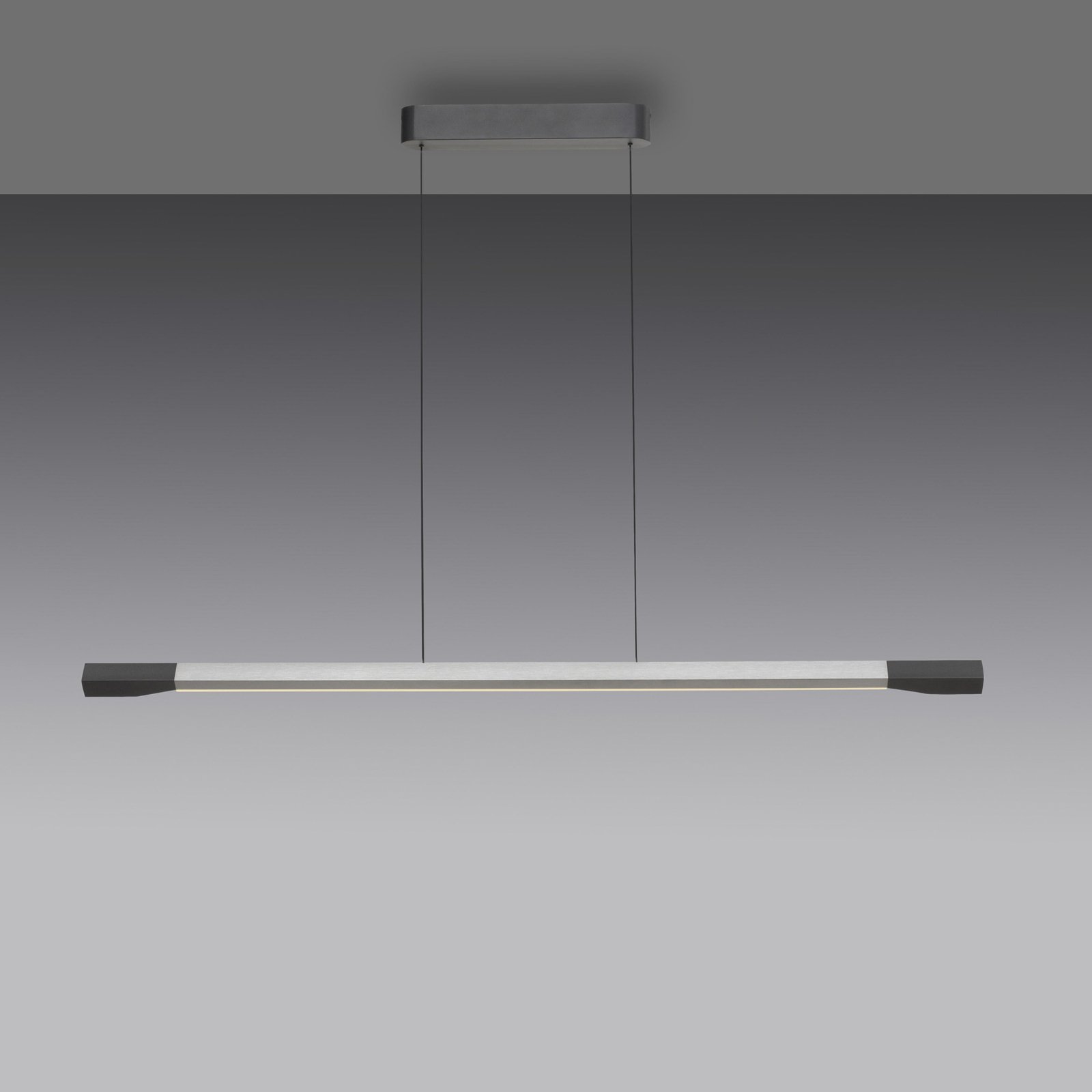 Paul Neuhaus LED piekaramā lampa Hoop, alumīnijs, garums 128 cm