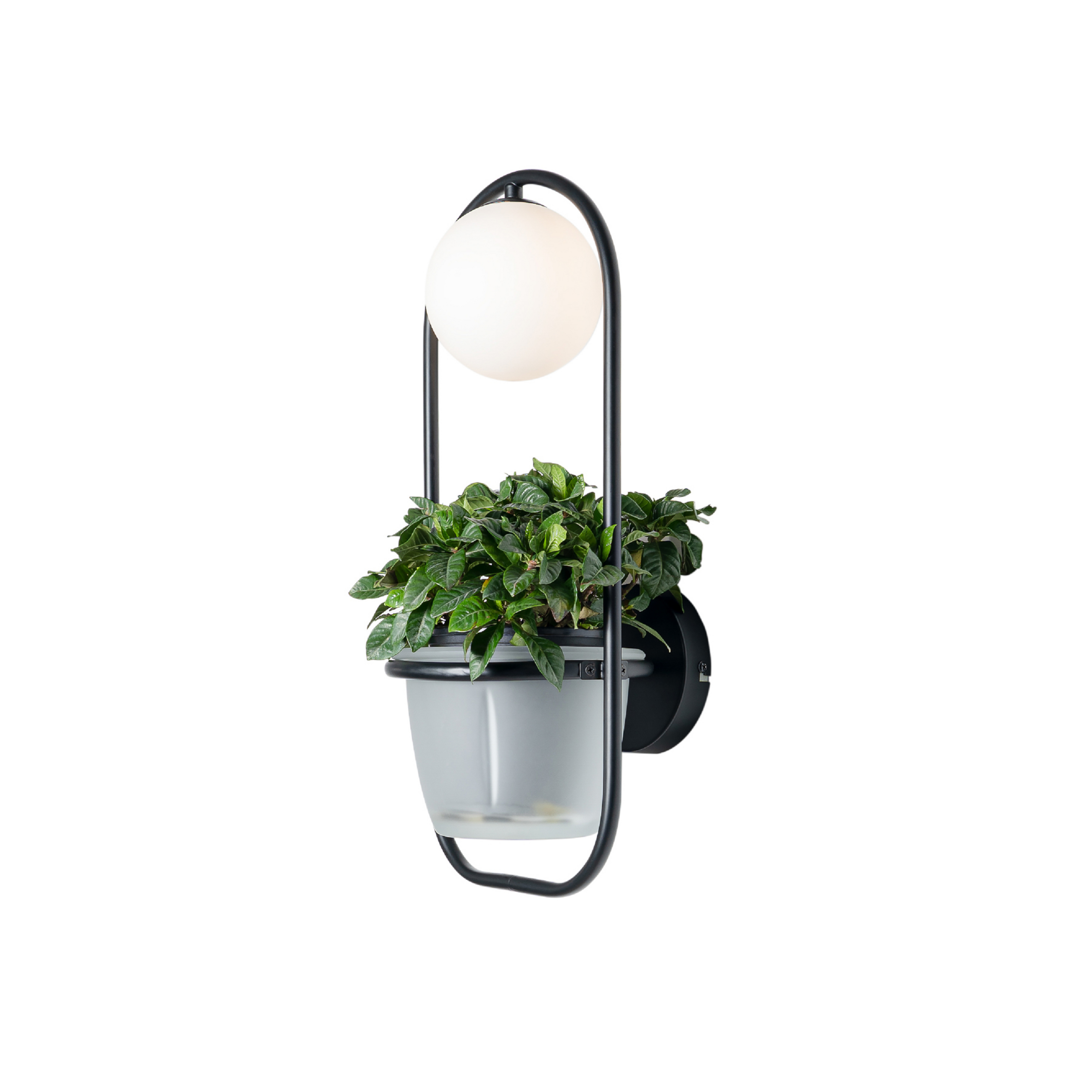 Orna Vägglampa Black/Opal - Lindby