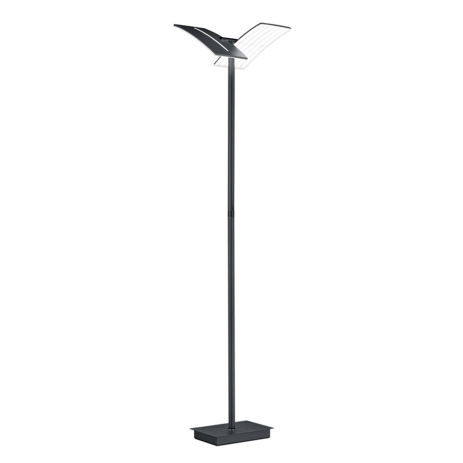 Lampadaire LED Dual en fer noir 182 cm CCT