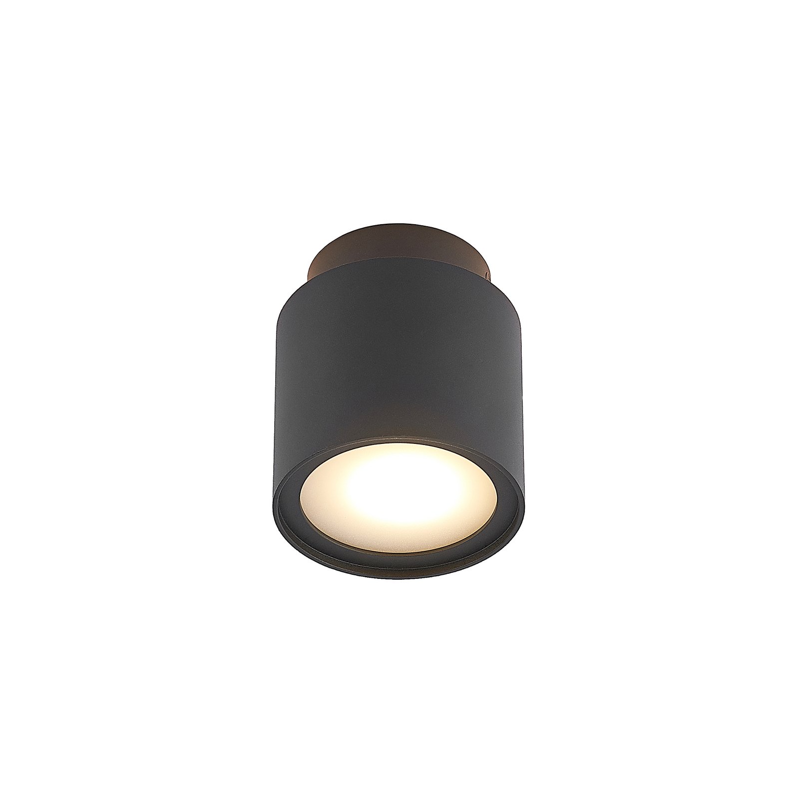 Walisa Plafonnier Black/Frosted - Arcchio