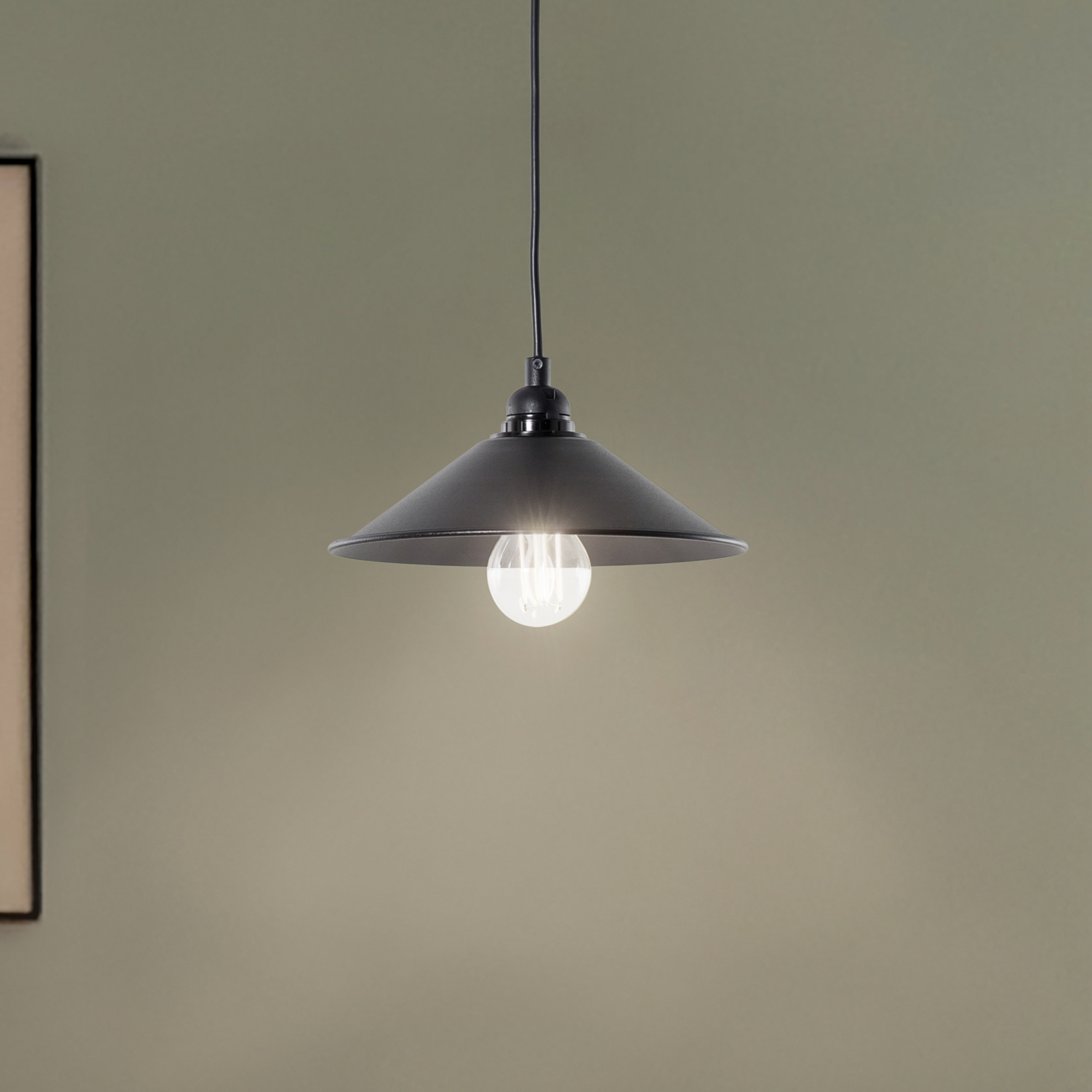 Hanging light GMN-00007 1-bulb wood detail black