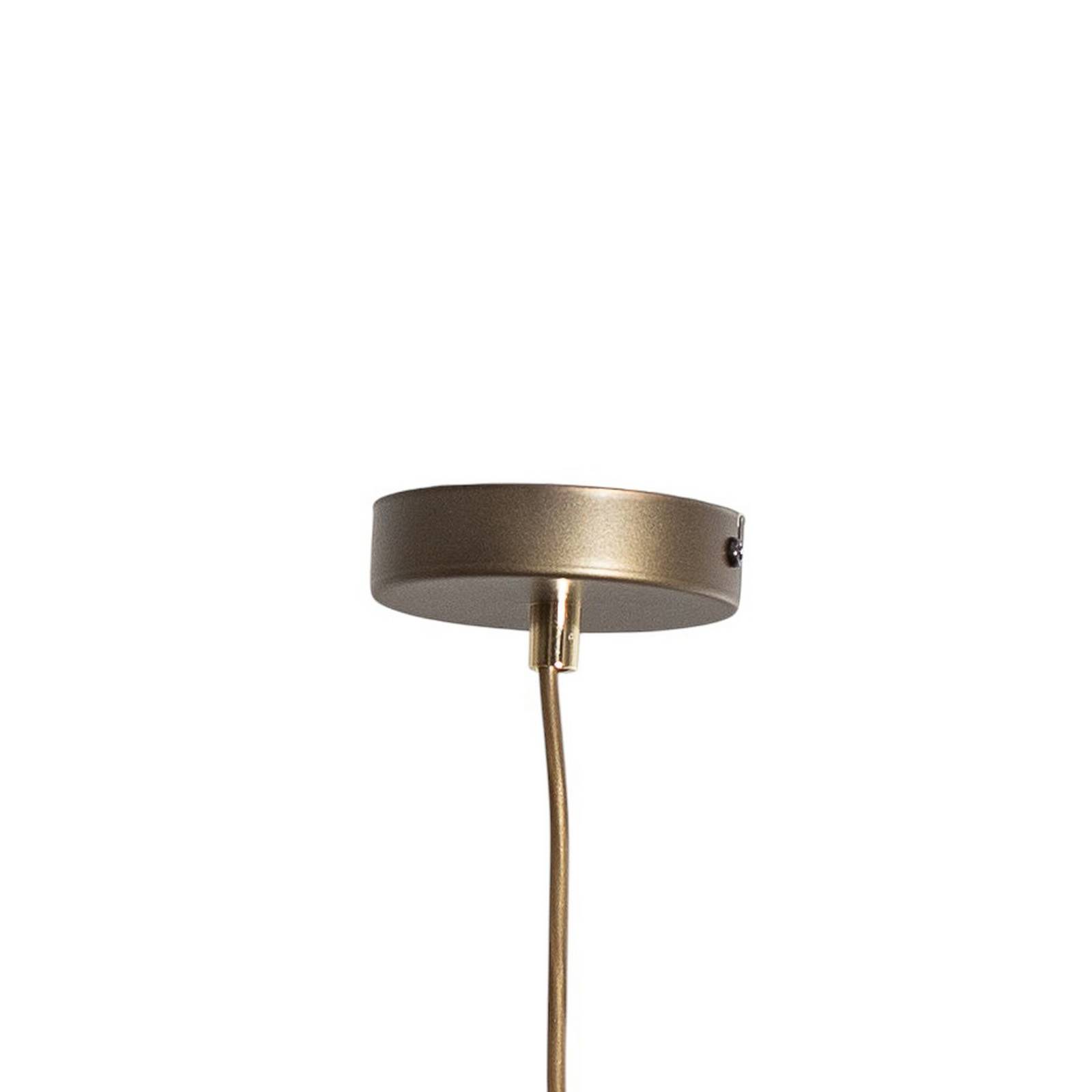 Lampa wisząca Noak, 1-punktowa, tytanowo-złota/złota, stal