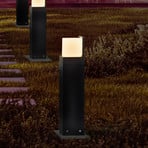 LED-Außenwandlampe FYNN-C, anthrazit, 12 cm, IP65 CCT on/off