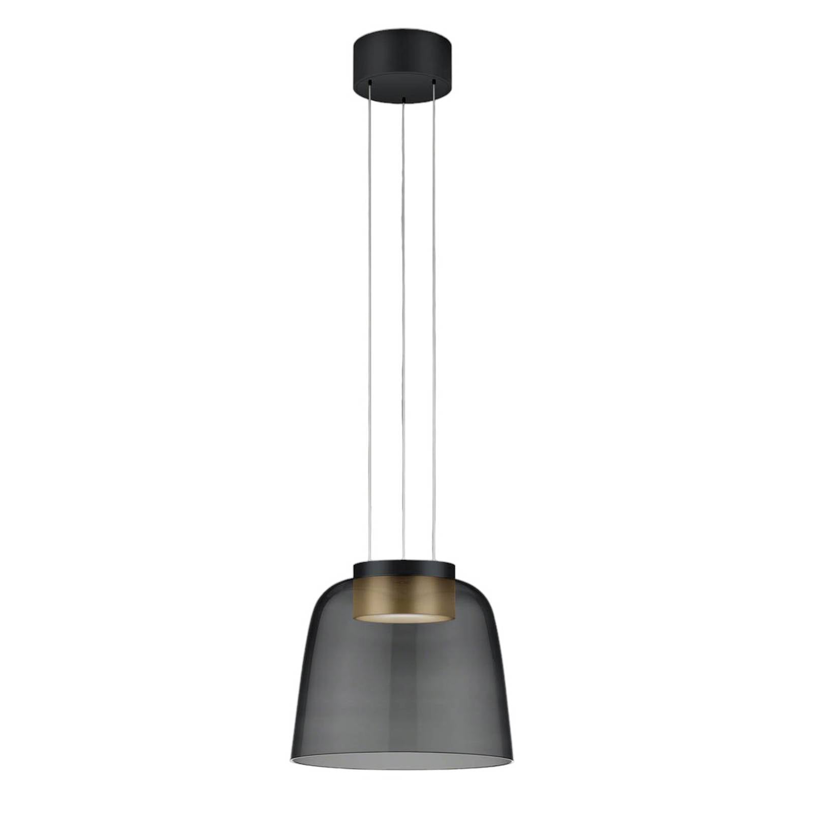Helestra Oda Hängeleuchte schwarz/gold Glasschirm