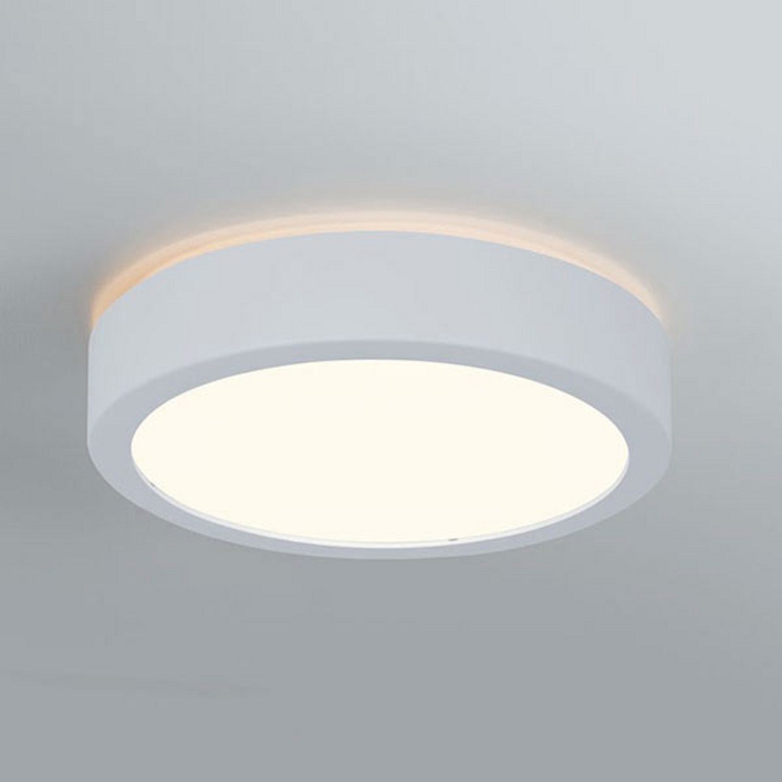 Paulmann Aviar plafonieră LED Ø 22cm alb 3000K - Baie - modern - Plastic