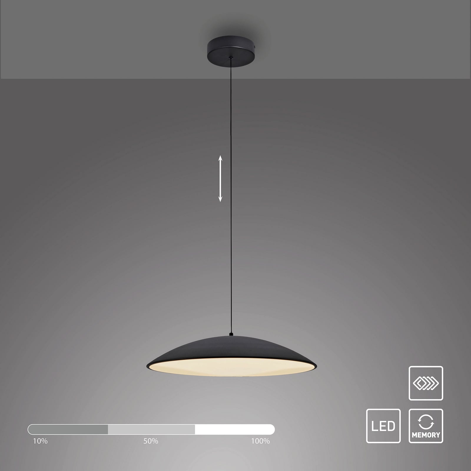 LED viseća svjetiljka LENTE, crna, Ø 50 cm, metal, s prigušivačem