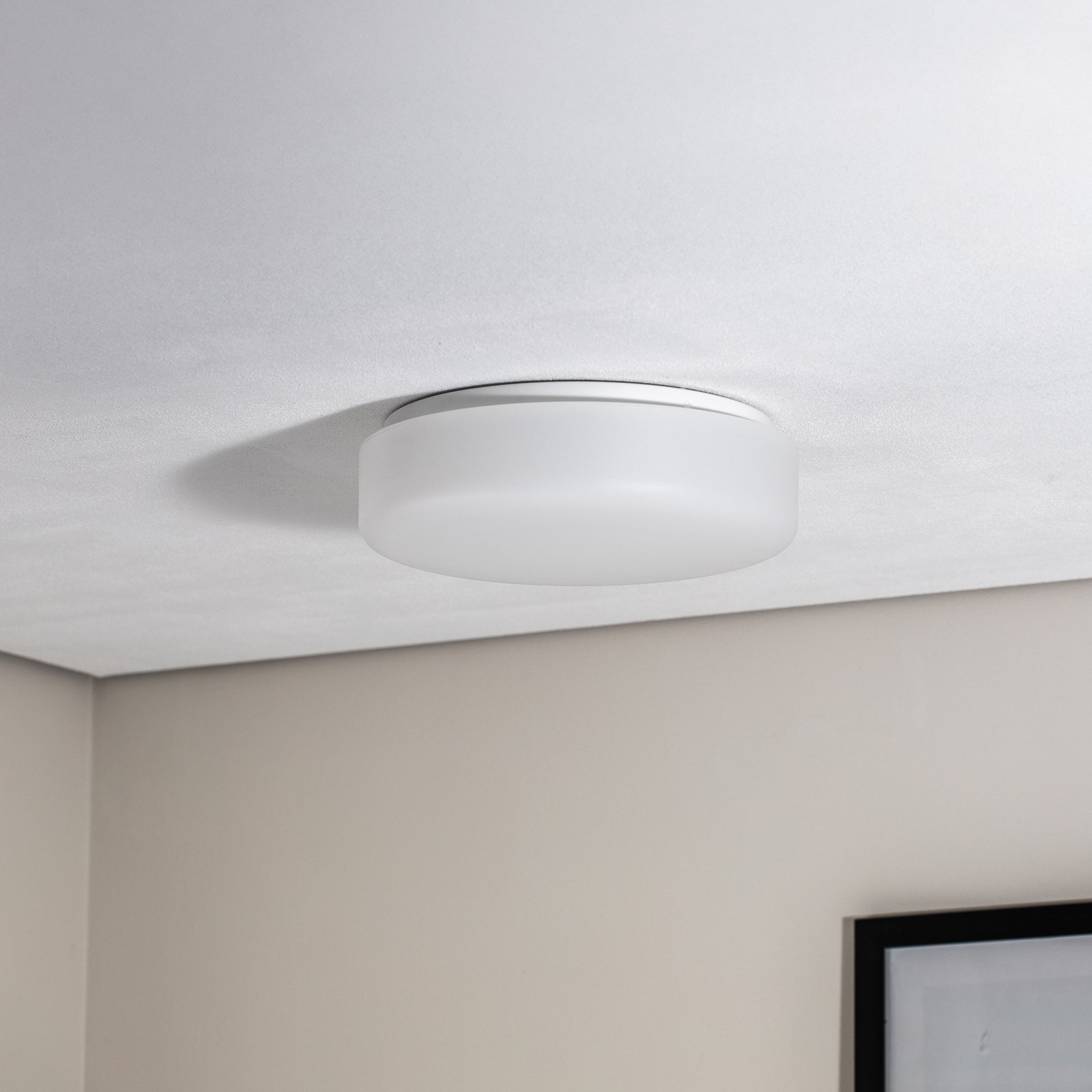 BEGA LED ceiling light 50036P K3, white, Ø 35 cm, plastic DALI