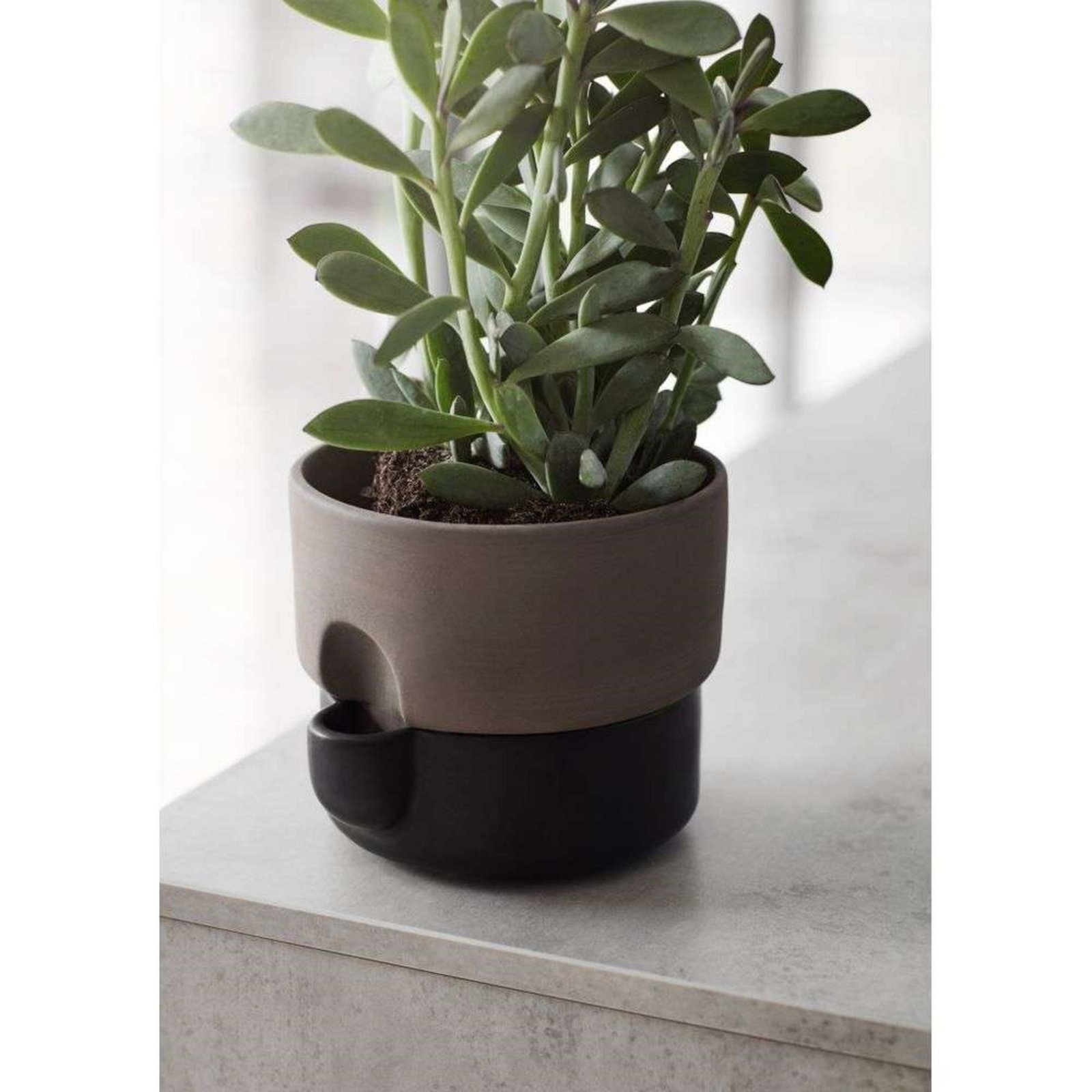 Oasis Flowerpot Small Brown - Northern