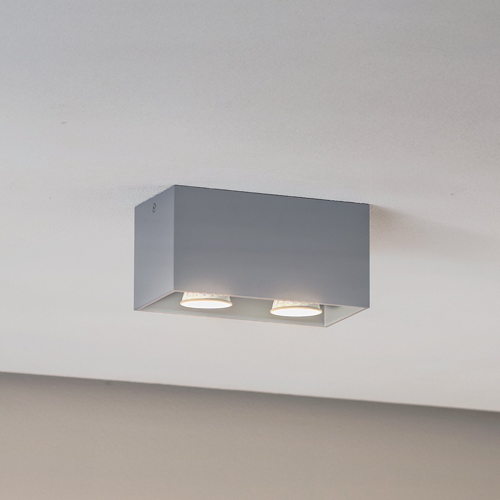 Ara Maxi aluminium ceiling light 2-bulb grey