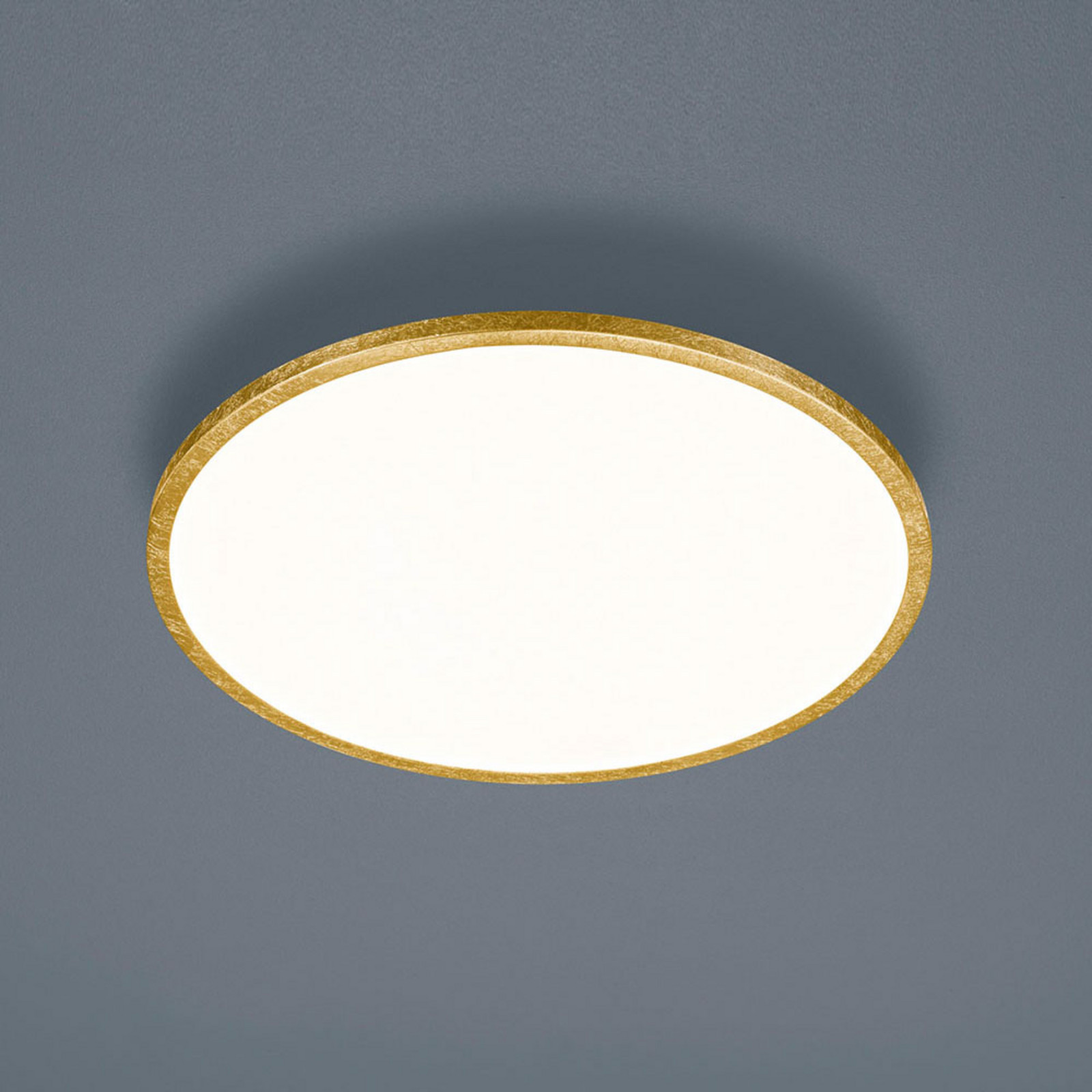 Helestra Rack plafonieră LED dim rotundă auriu
