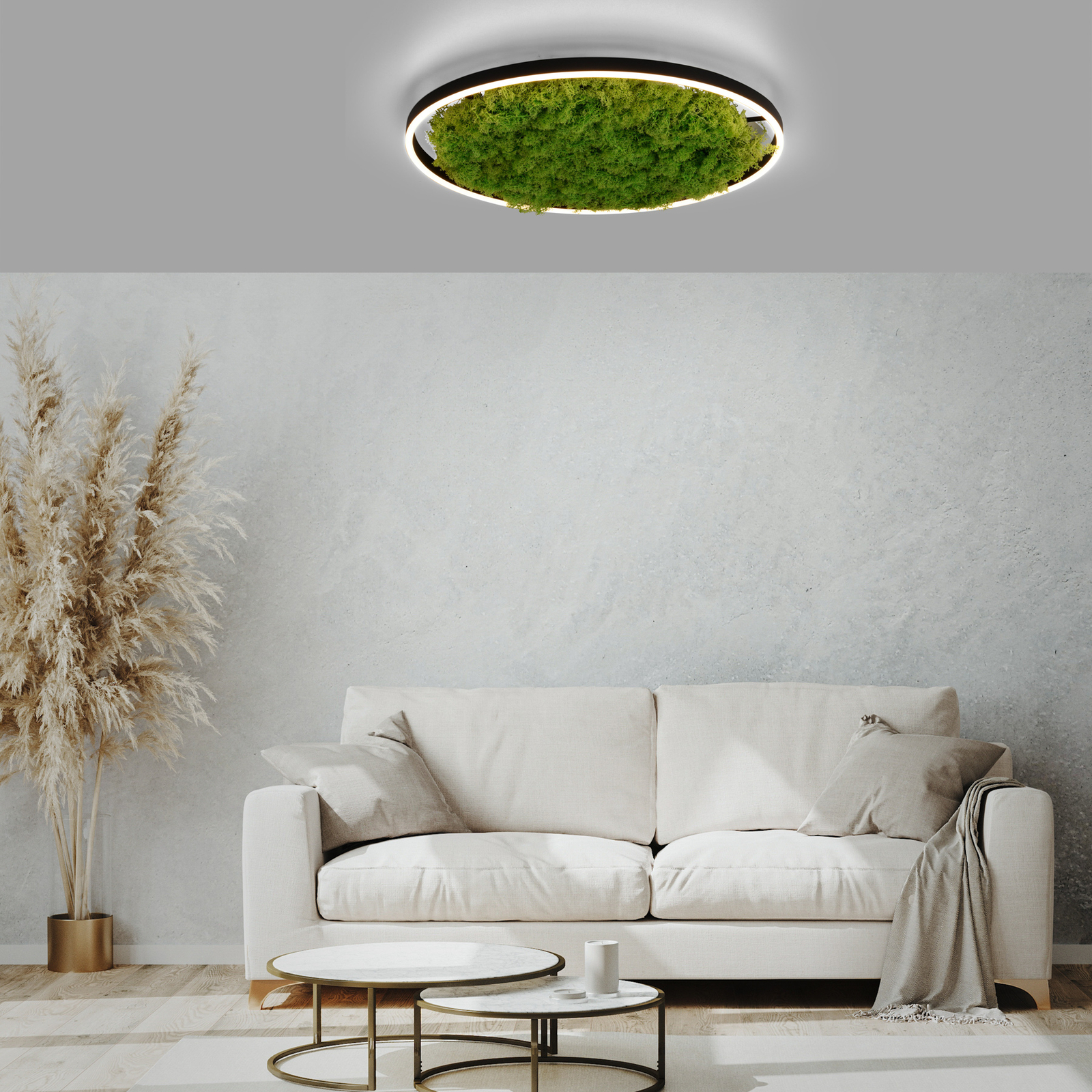 LED stropna svetilka Green Ritus, mah z možnostjo zatemnitve Ø58,5cm
