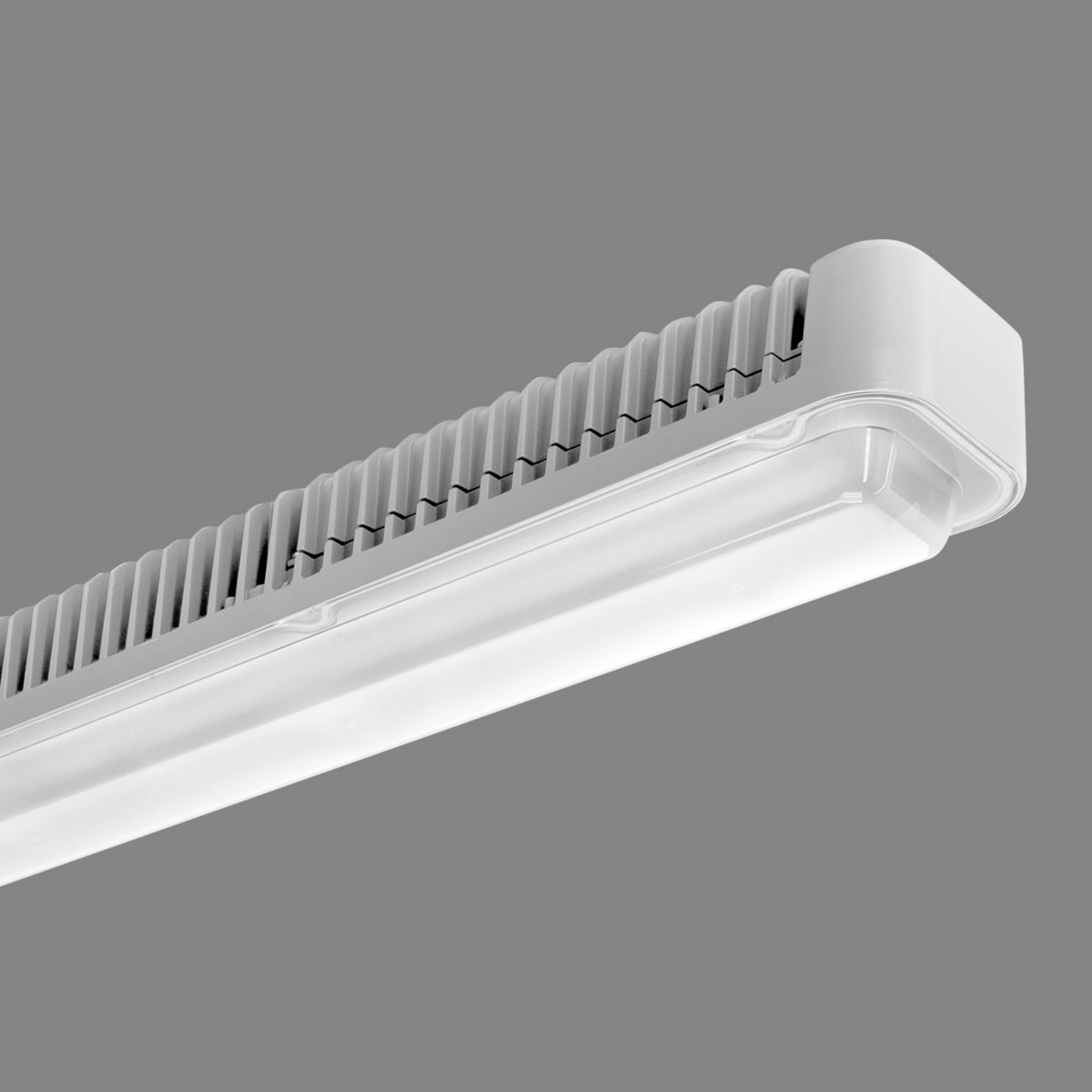 LED-Deckenlampe Koa Line STR/PC S/EW 112W
