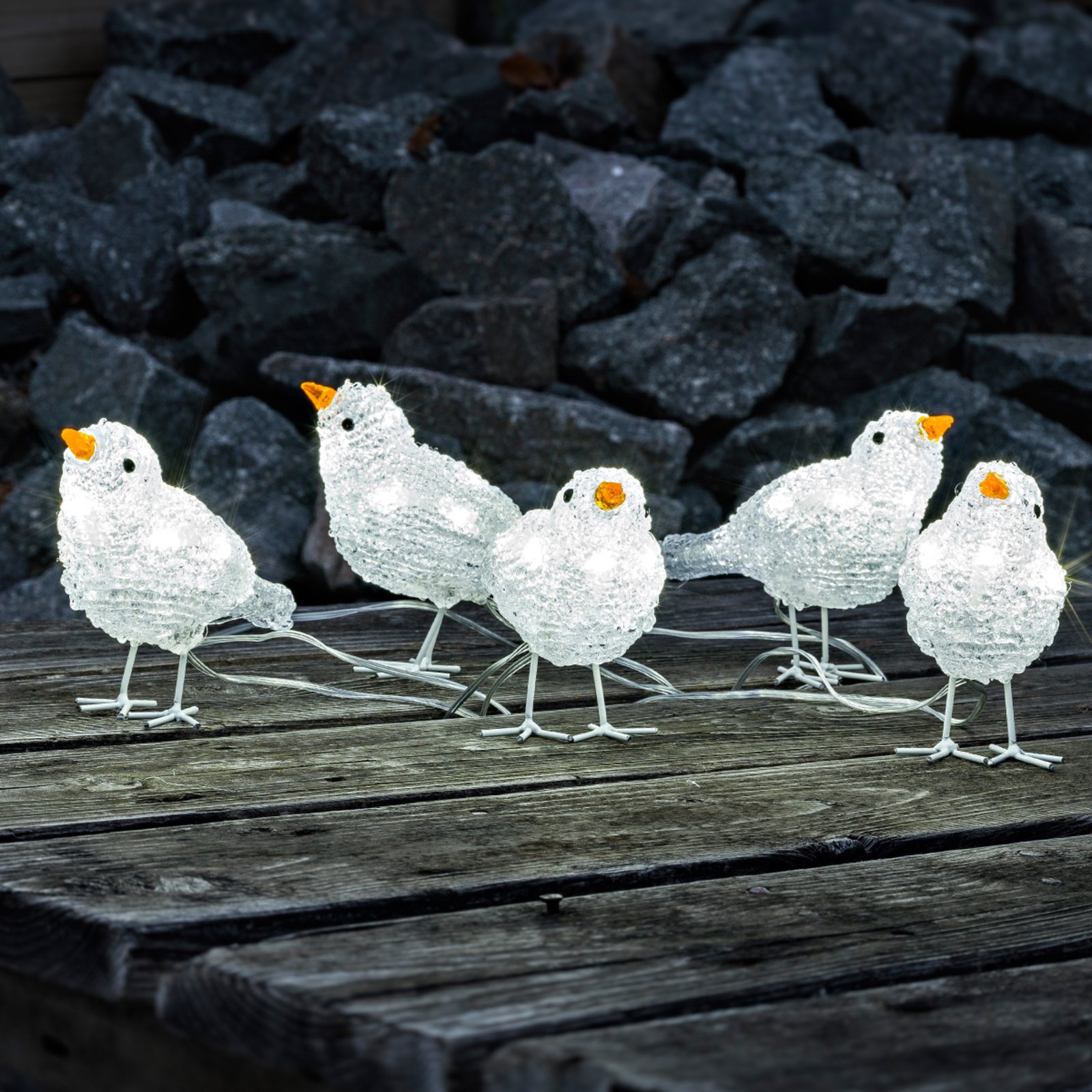 Grazioso quintetto di uccellini LED da esterni
