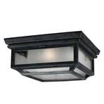 Shepherd ceiling light for outdoors