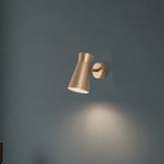 Wandleuchte Lotta, goldfarben, Strahler, Stahl, verstellbar