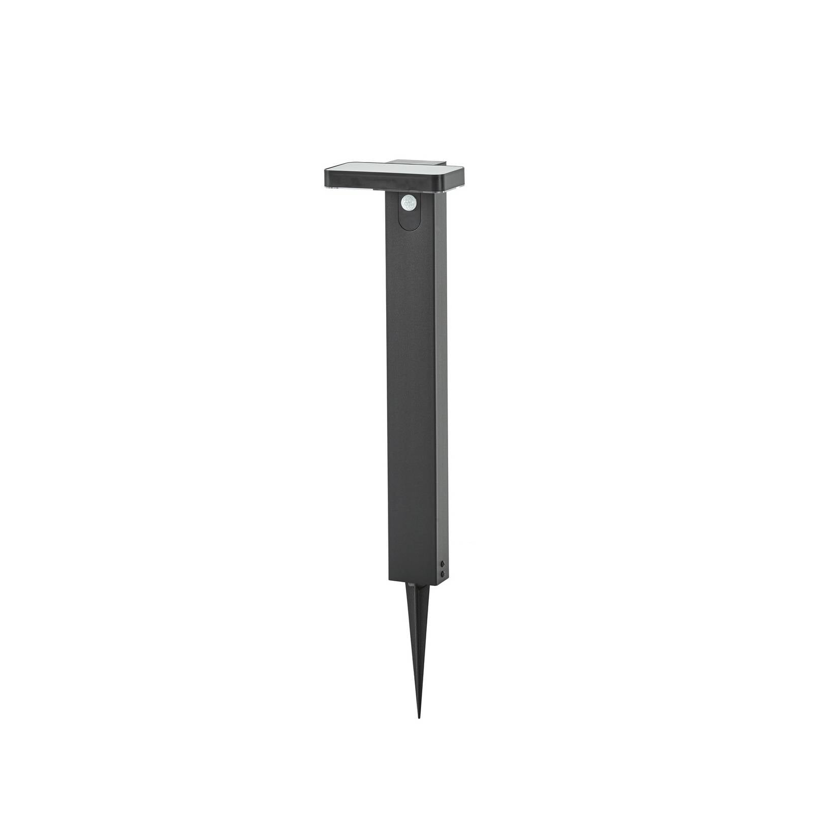 Prios LED-Solar-Wegelampe Tarlson, eckig, anthrazit, Sensor