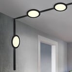 Schienenset DUOline Camillus schwarz 3 m 6-flg. LED 2-Phasen