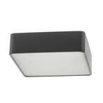 Deckenlampe Oro aus Stahl und Glas, grau