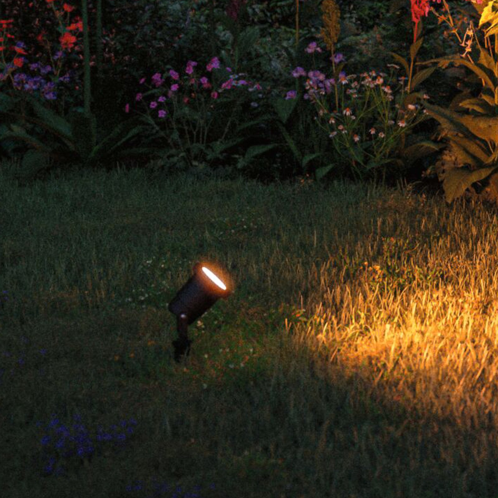 Gold Light LED Garden Lamp Insect Friendly IP65 Black Metal - Paulmann