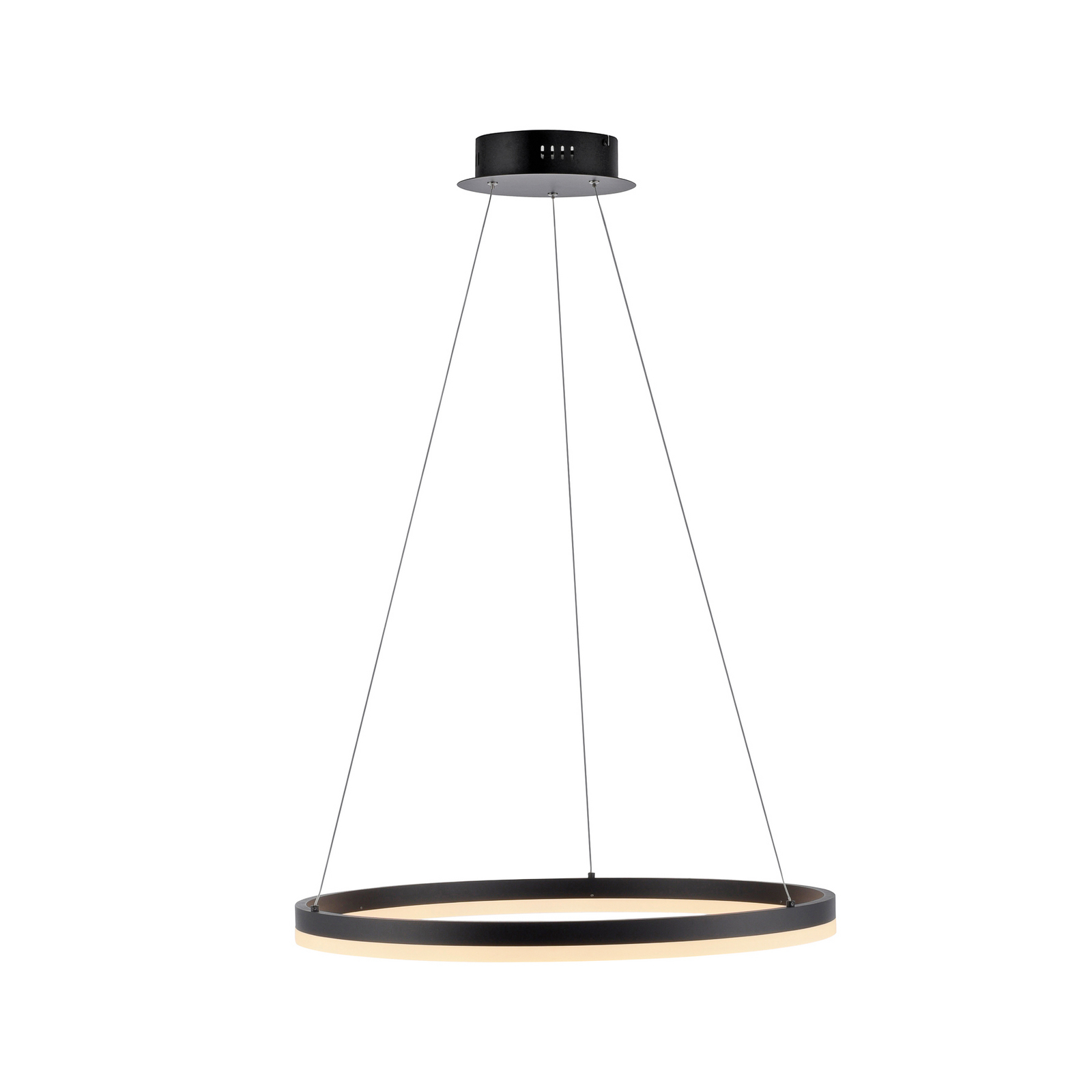 LED pakabinamas šviestuvas „TITUS“, antracito spalvos, Ø 60 cm, metalinis, su