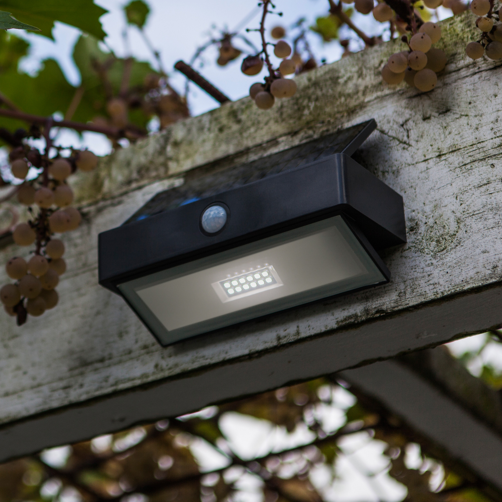 Applique d'extérieur LED ARROW, gris foncé, 18 cm, détecteur de mouvement, IP44