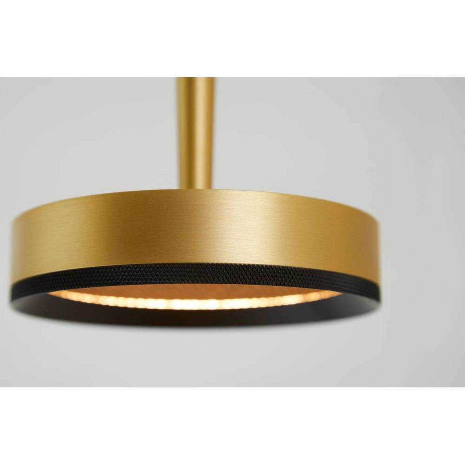 LOOM DESIGN LED-Pendelleuchte Nyx P1, messing, Aluminium günstig online kaufen