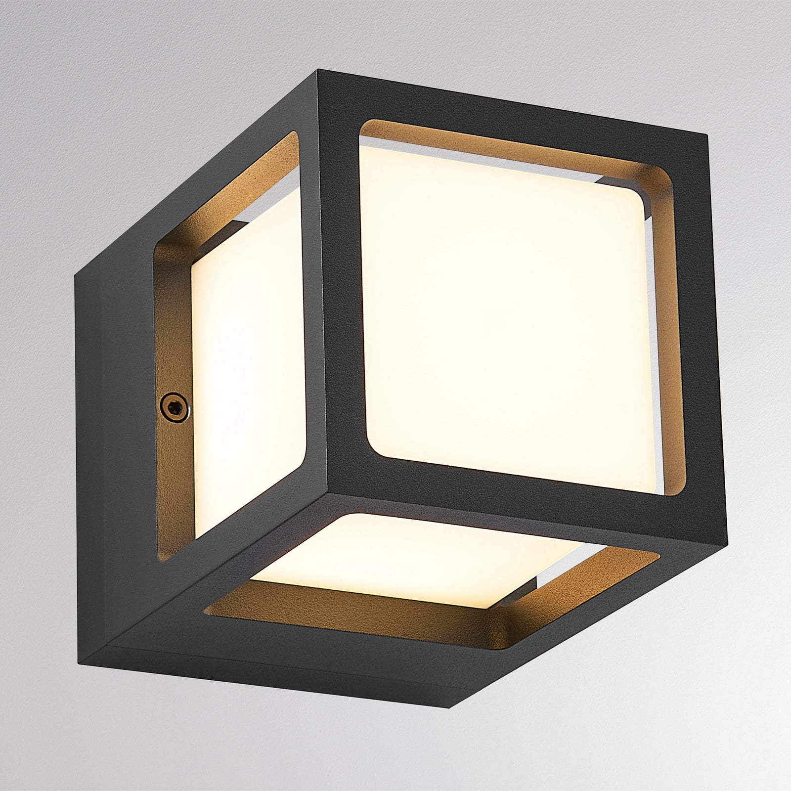 Applique d'extérieur LED FYNN-X, anthracite, 12 cm, IP65, CCT