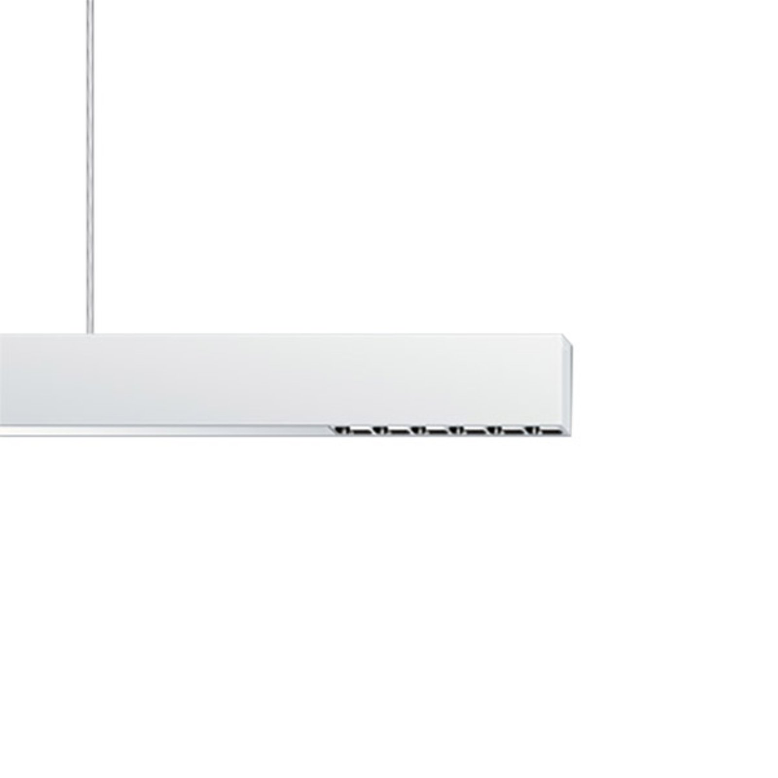 ERCO Compar Pendelleuchte DALI up/down oval wide
