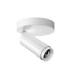 Ribag Vertico downlight de techo 1 luz 3.000K blanco